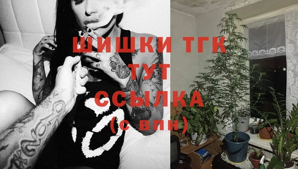 дмт Костерёво