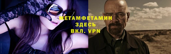 ГАЛЛЮЦИНОГЕННЫЕ ГРИБЫ Козловка