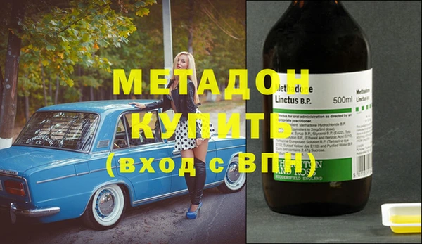ГАЛЛЮЦИНОГЕННЫЕ ГРИБЫ Козловка