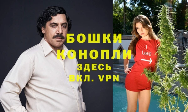 молекула духа Корсаков
