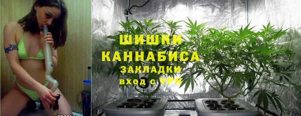дмт Костерёво