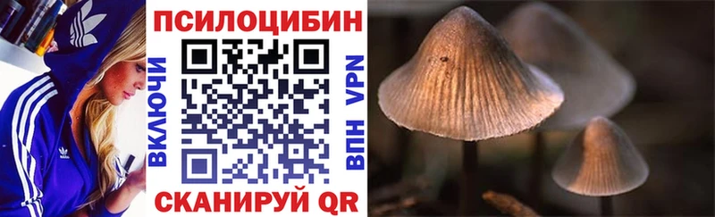 Псилоцибиновые грибы прущие грибы Кировград